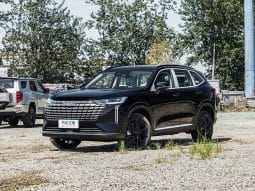 
										Haval H6 full									