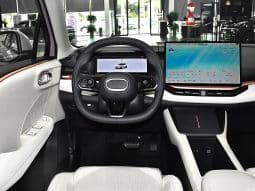 
										Lynk&Co 06 full									