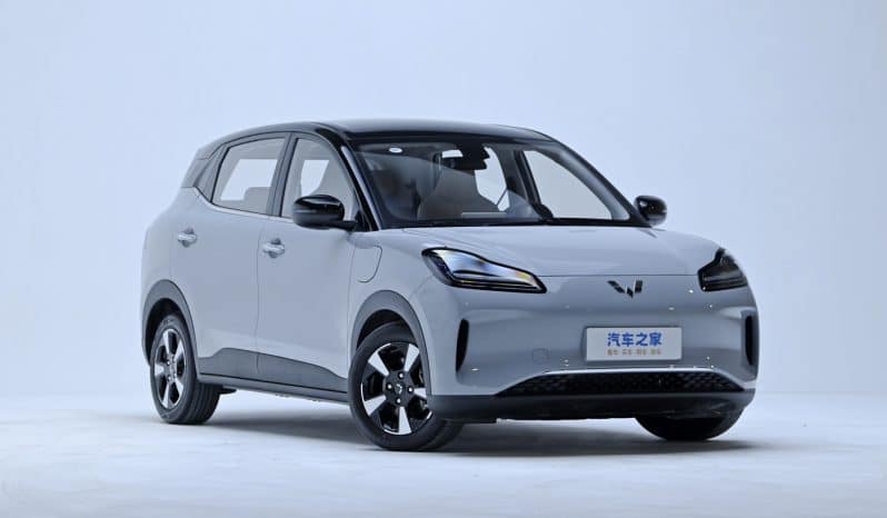 
								Wuling Bing-go EV full									