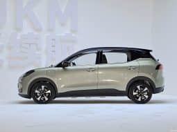 
										Wuling Bing-go EV full									
