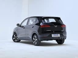 
										Wuling Bing-go EV full									