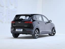 
										Wuling Bing-go EV full									