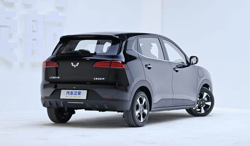 
								Wuling Bing-go EV full									
