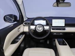 
										Wuling Bing-go EV full									