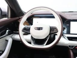 
										GEELY Monjaro 2.0T 2022-09 full									
