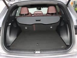 
										GEELY Monjaro 2.0T 2022-09 full									