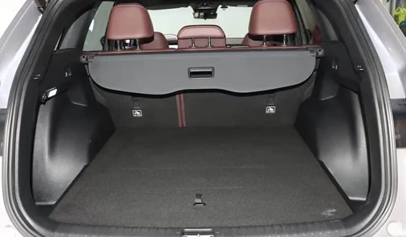 
								GEELY Monjaro 2.0T 2022-09 full									