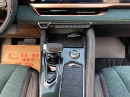 
										GEELY Monjaro 2.0T 2022-12 full									