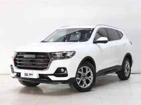Haval H6 1.5T 2022-11