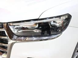 
										Haval H6 1.5T 2022-11 full									
