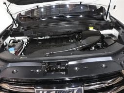 
										Haval H6 1.5T 2022-11 full									