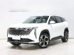 GEELY Starray 1.5T 2024-06
