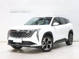 GEELY Starray 1.5T 2024-06