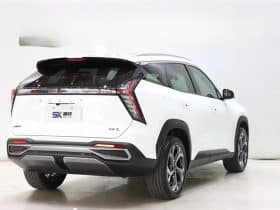 GEELY Starray 1.5T 2024-06