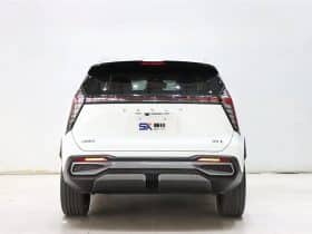 GEELY Starray 1.5T 2024-06