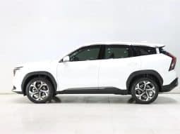 GEELY Starray 1.5T 2024-06