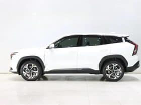 GEELY Starray 1.5T 2024-06