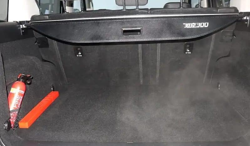 
								TankSUV Tank 300 2.0T 2024-01 full									