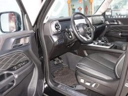 TankSUV Tank 300 2.0T 2024-01