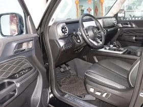 TankSUV Tank 300 2.0T 2024-01