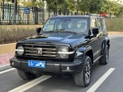 TankSUV Tank 300 2.0T 2022-07