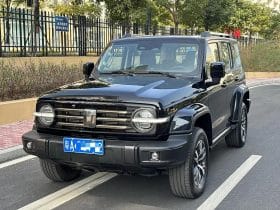 TankSUV Tank 300 2.0T 2022-07