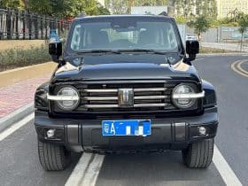 TankSUV Tank 300 2.0T 2022-07