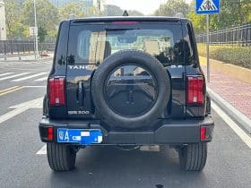 TankSUV Tank 300 2.0T 2022-07