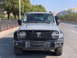 TankSUV Tank 300 2.0T 2023-11