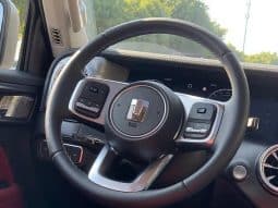 
										TankSUV Tank 300 2.0T 2023-11 full									