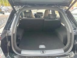 
										Jetour ShanhaiL6 1.5T 2024-05 full									