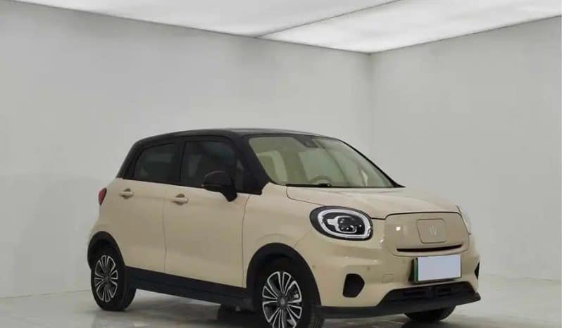 Leapmotor T03 2021 400 Luxury Edition 3
